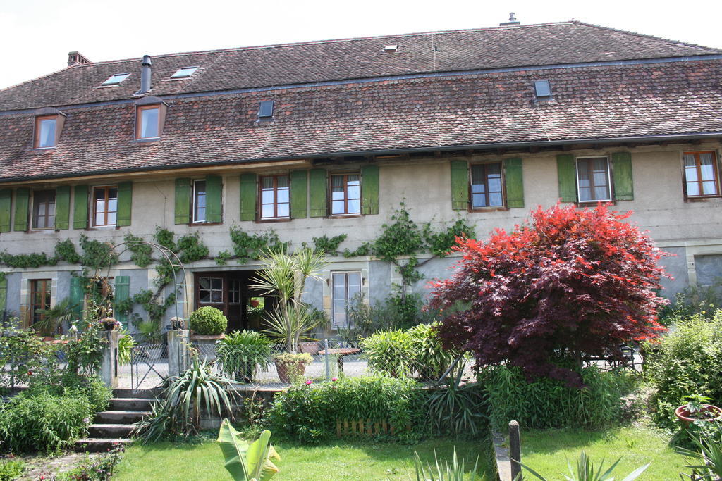 Ofenhaus Murten Quarto foto