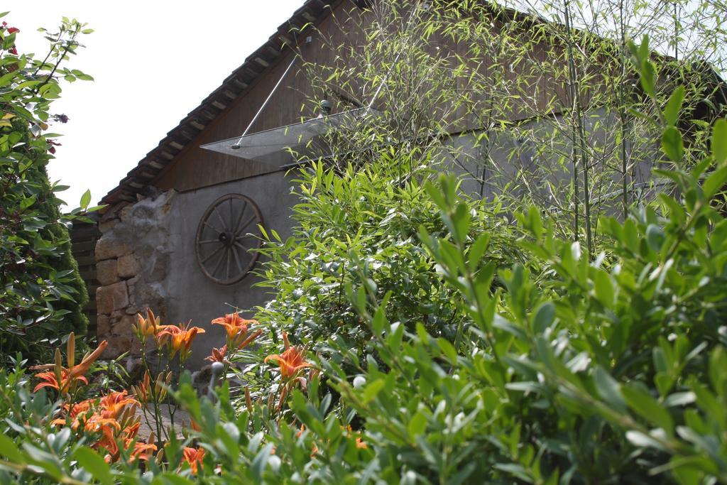 Ofenhaus Murten Quarto foto