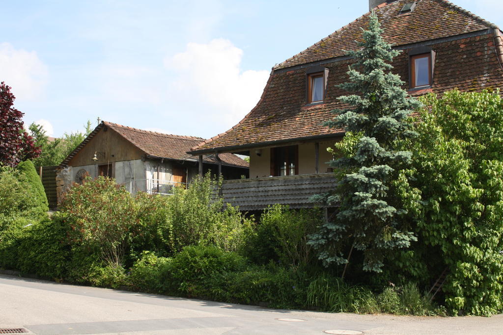 Ofenhaus Murten Quarto foto